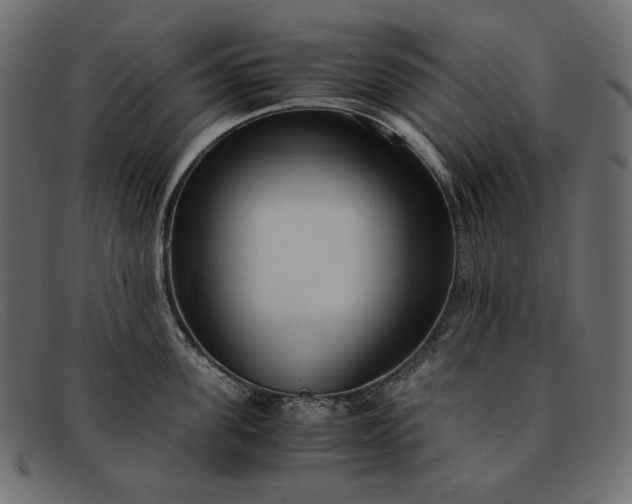 X0000091920955200709191337