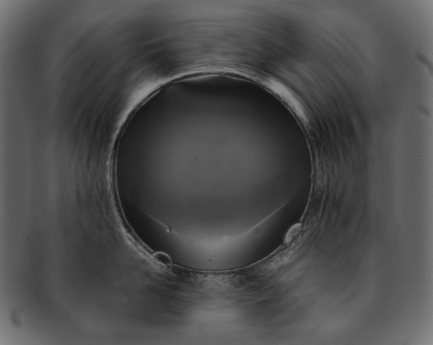 X0000091920958200709191337
