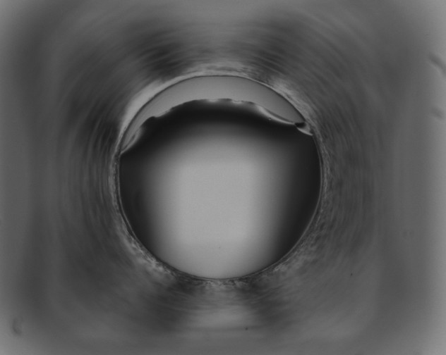 X0000091920960200709191337