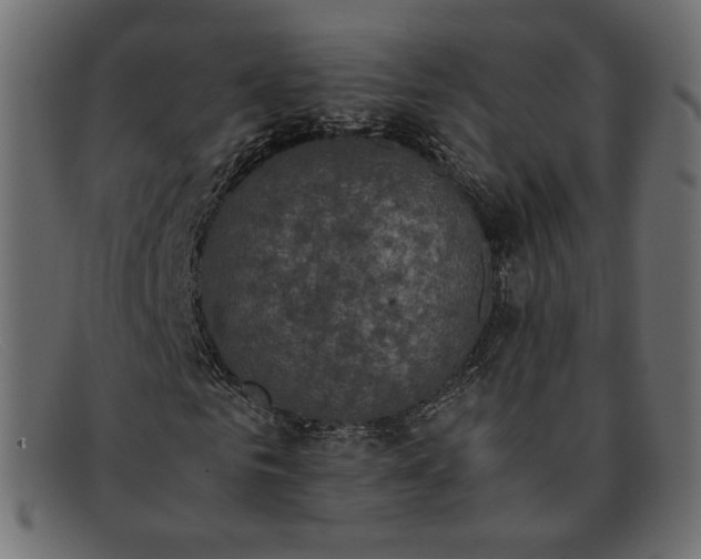 X0000091920961200709191336