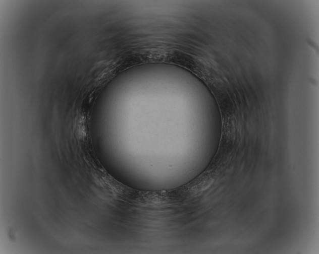 X0000091920962200709191336