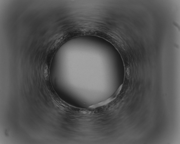 X0000091920963200709191336