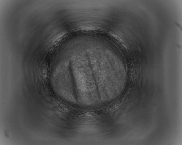X0000091920966200709191336