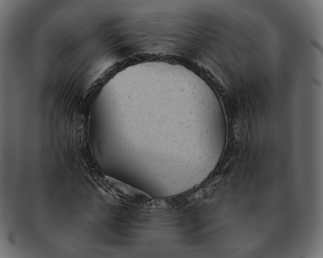 X0000091920968200709191336
