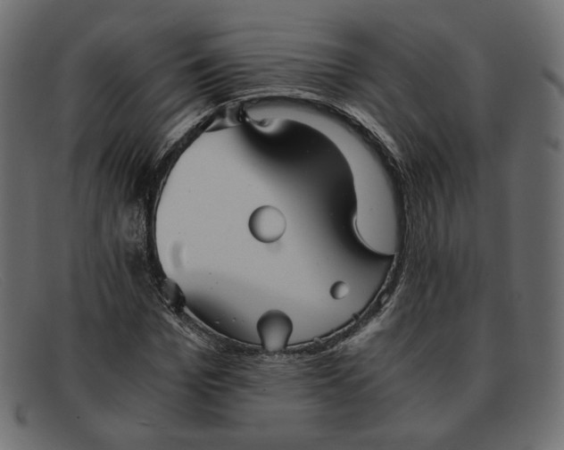X0000091920969200709191336