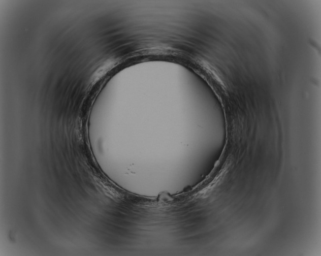 X0000091920970200709191336