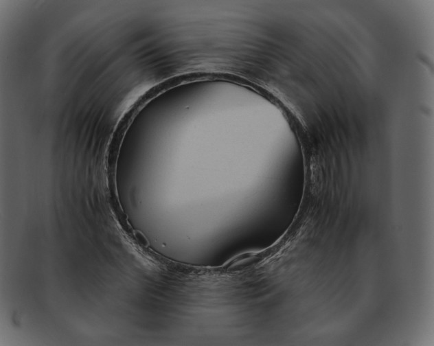 X0000091920972200709191336