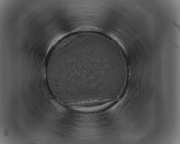 X0000091920973200709191336