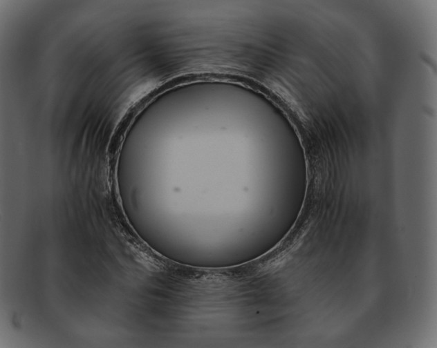 X0000091920974200709191336