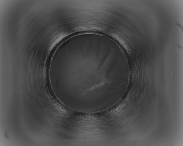 X0000091920975200709191336