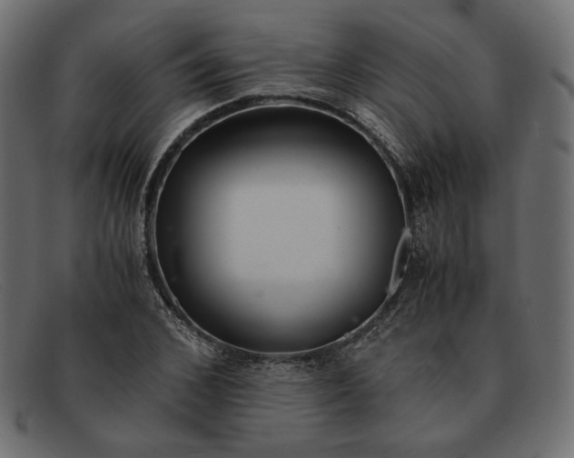 X0000091920976200709191336