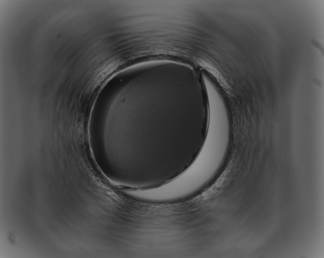 X0000091920977200709191336