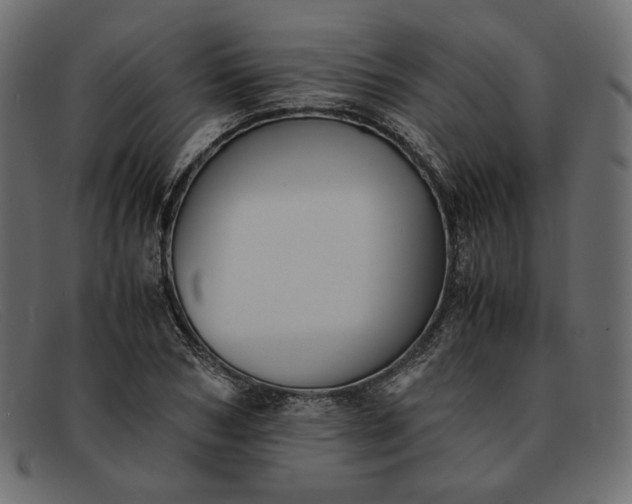 X0000091920978200709191336