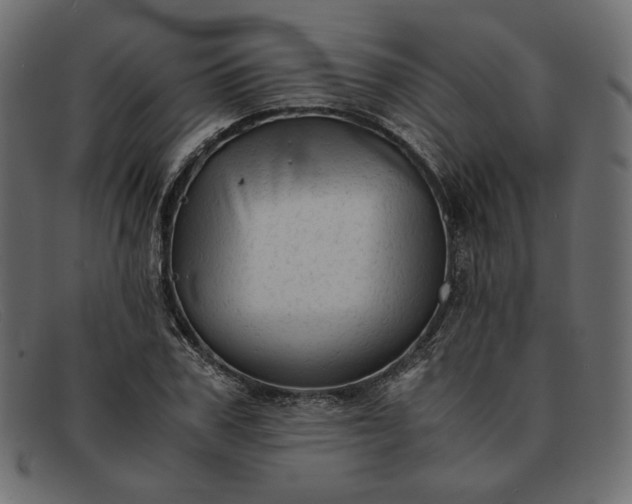 X0000091920979200709191336