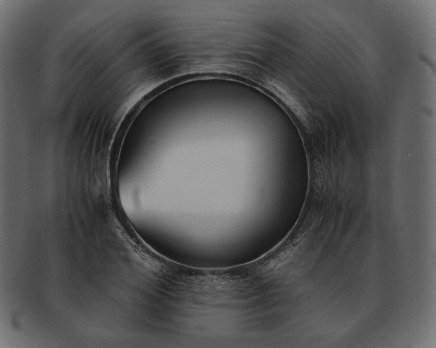 X0000091920980200709191336