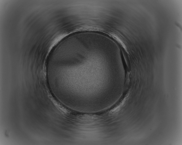 X0000091920981200709191336