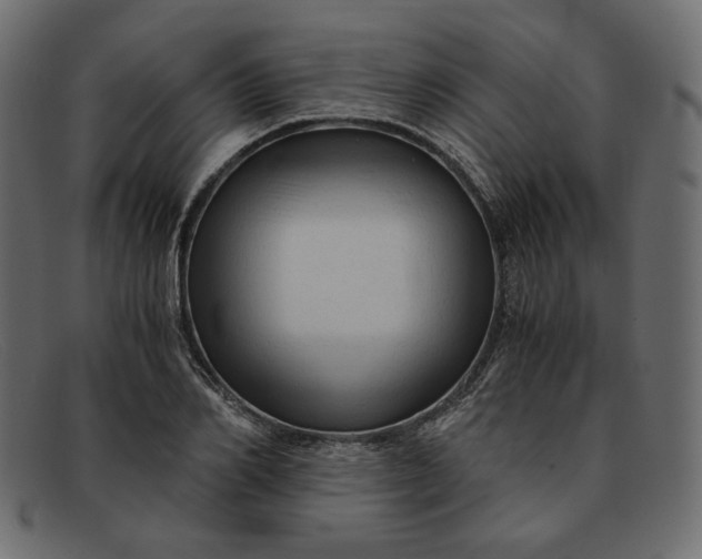 X0000091920982200709191336