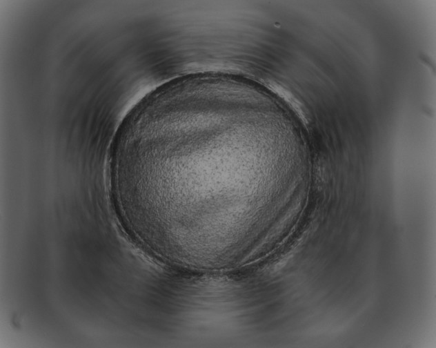 X0000091920983200709191336