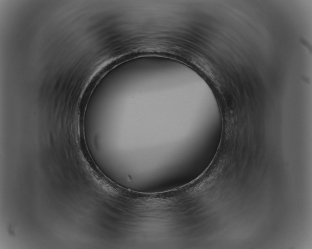 X0000091920984200709191336