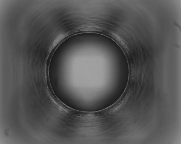 X0000091920986200709191336