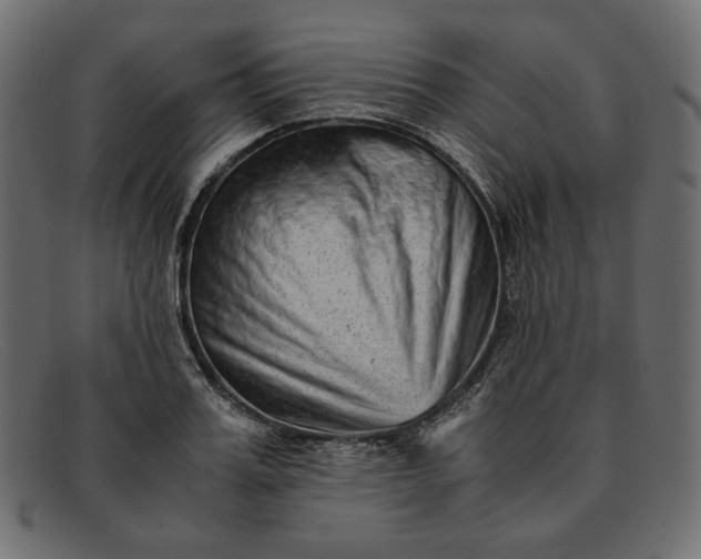 X0000091920987200709191336