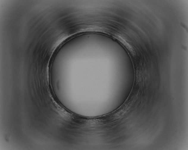 X0000091920988200709191336