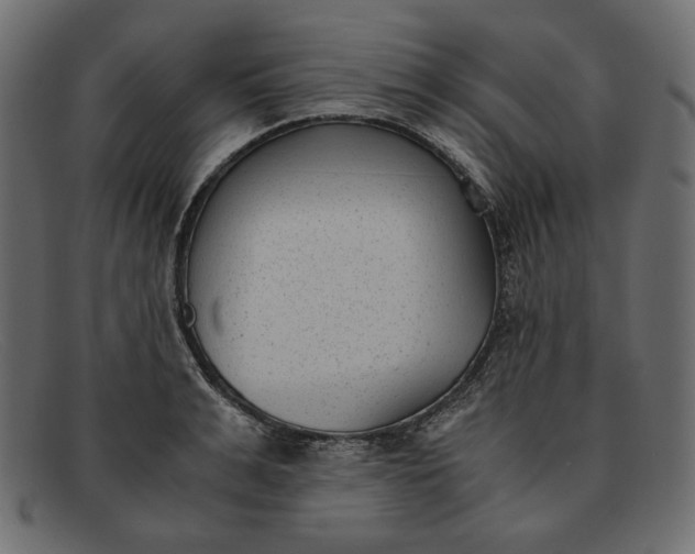 X0000091920991200709191336