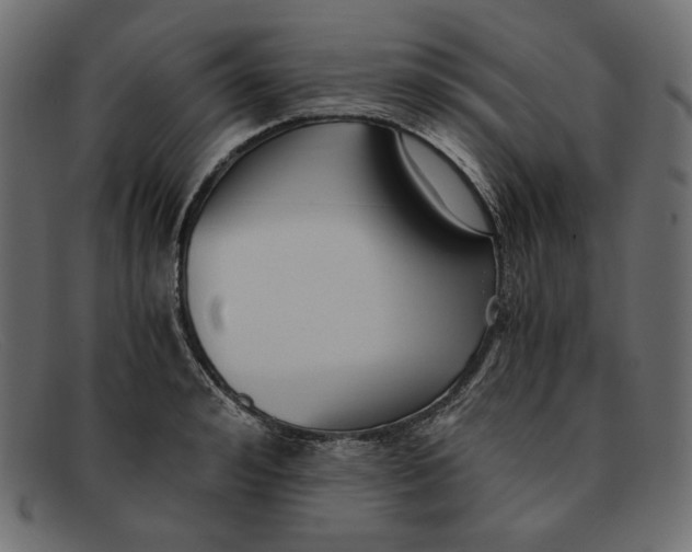 X0000091920992200709191336