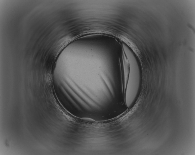 X0000091920993200709191336