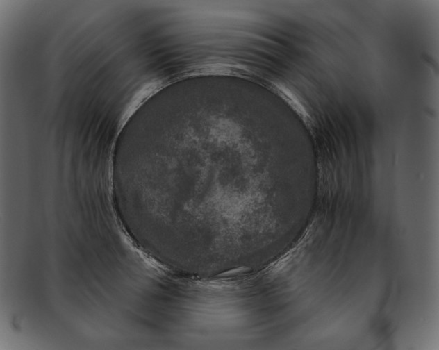X0000091920994200709191336