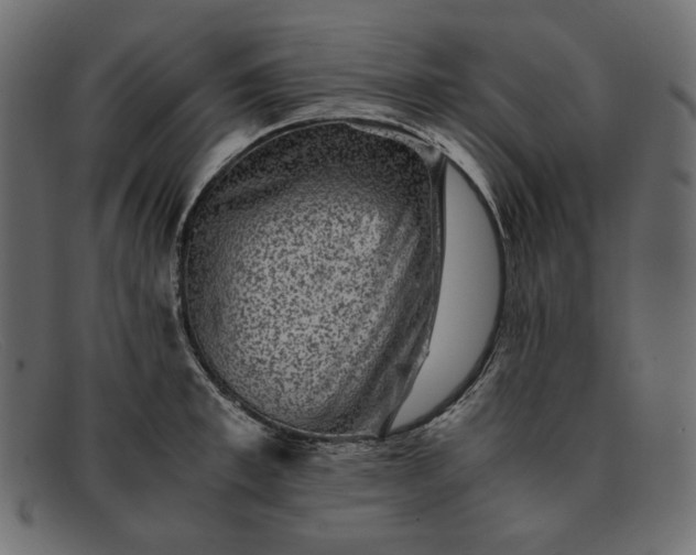 X0000091920997200709191336