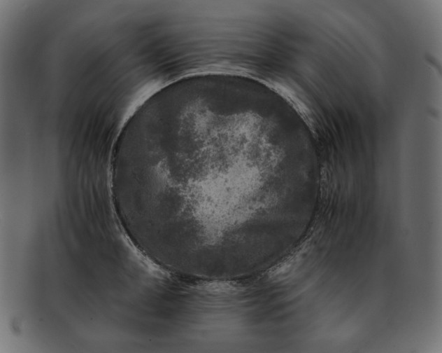 X0000091920998200709191336