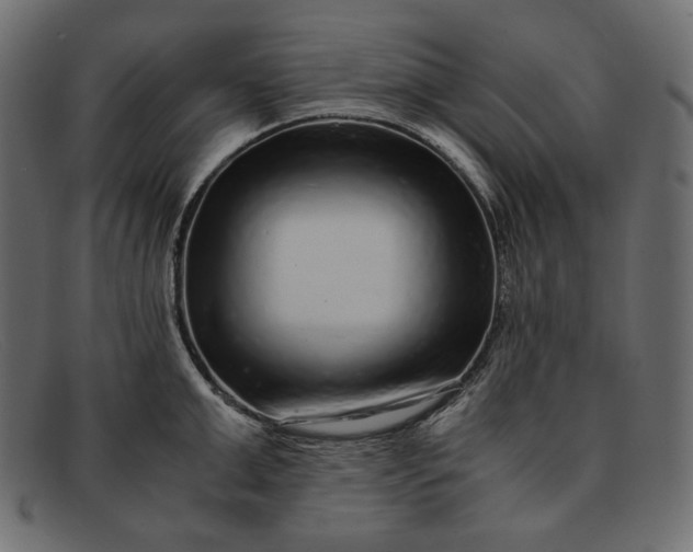 X0000091920999200709191336