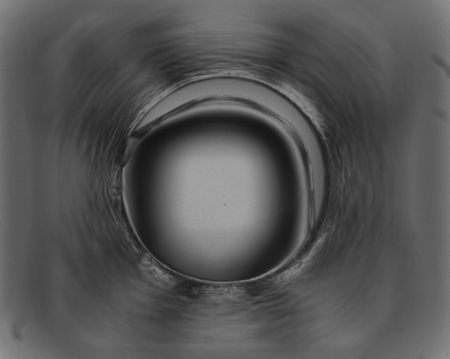 X0000091921001200709191336