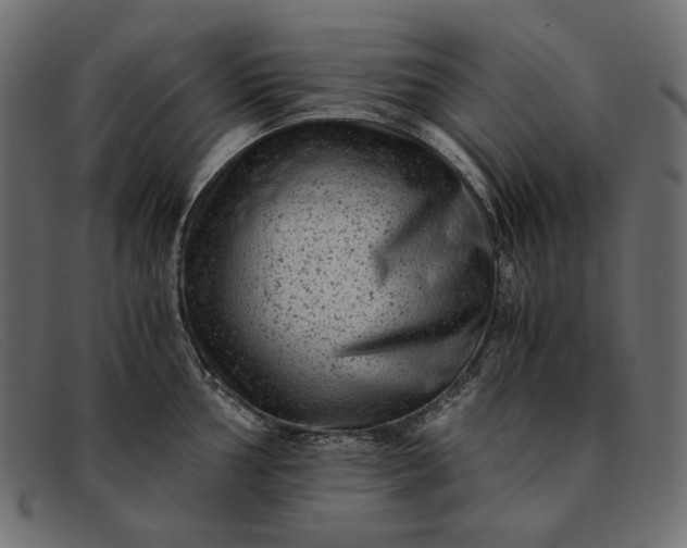 X0000091921002200709191336