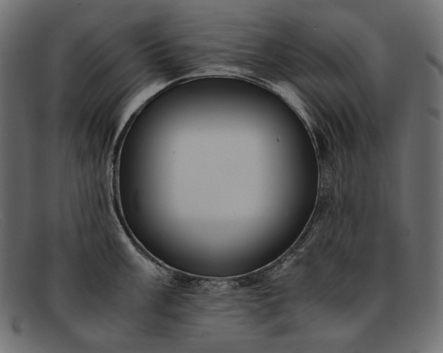 X0000091921003200709191336