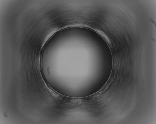 X0000091921006200709191336