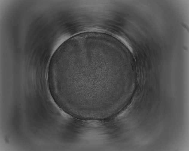 X0000091921007200709191336