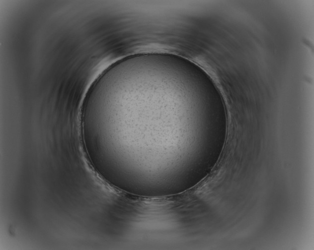 X0000091921008200709191336