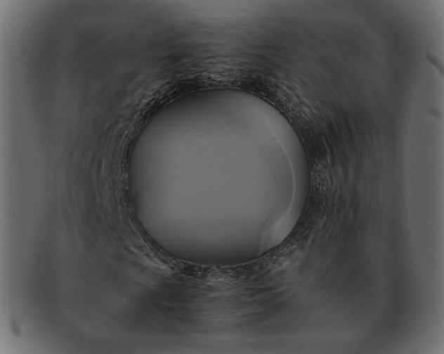 X0000091921009200709191335