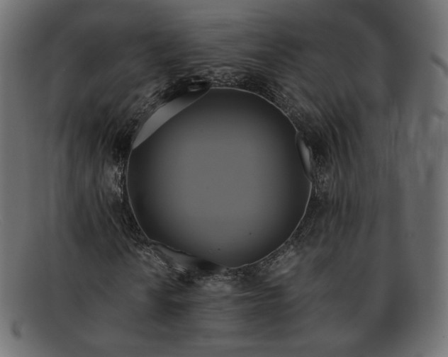X0000091921010200709191335