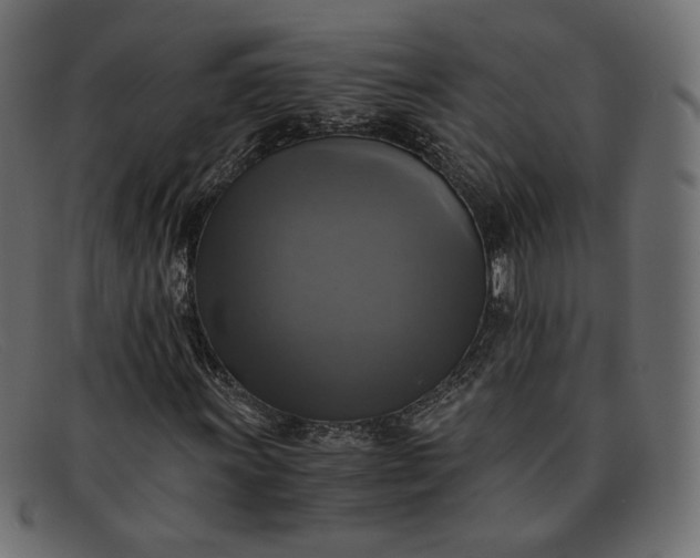 X0000091921011200709191335