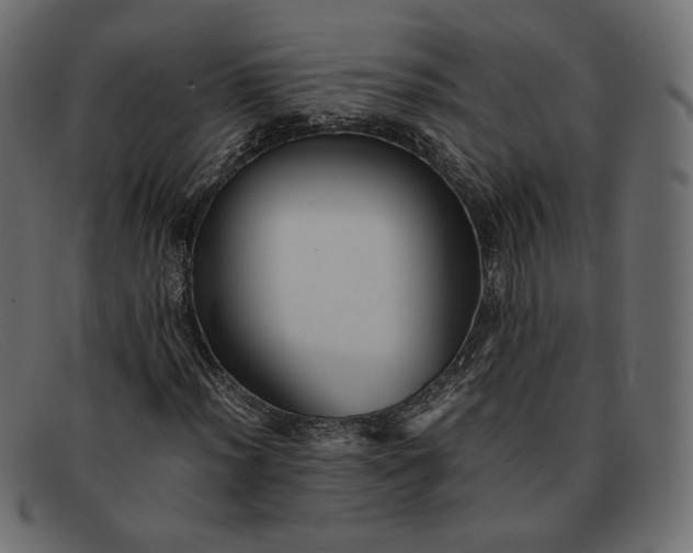 X0000091921012200709191335
