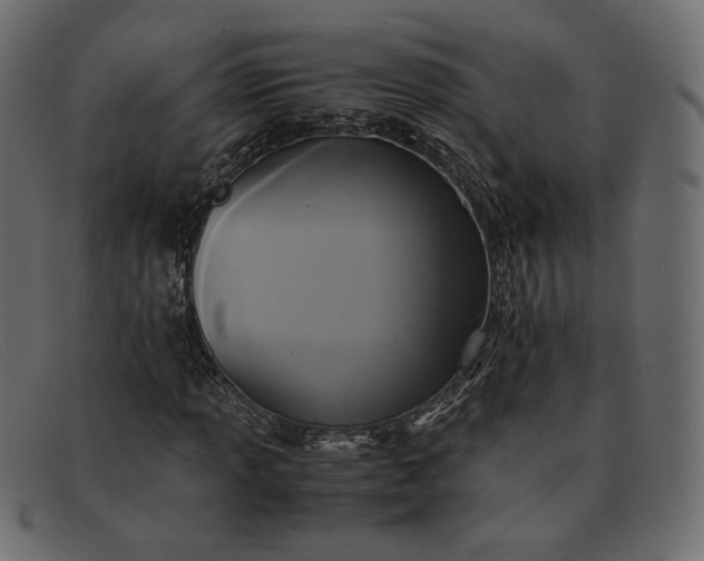X0000091921013200709191335