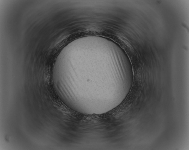 X0000091921015200709191335