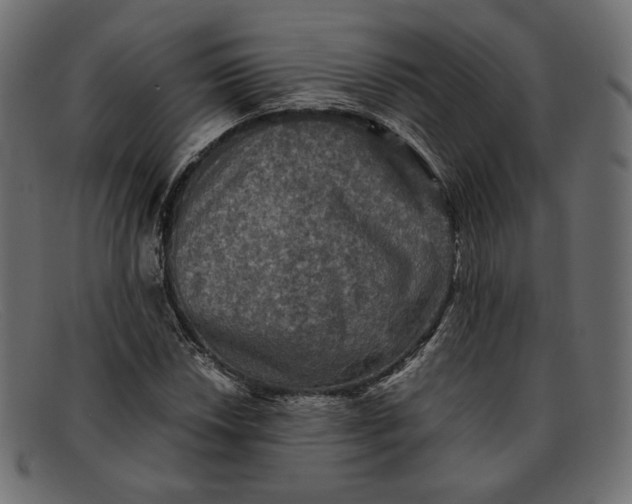X0000091921018200709191335