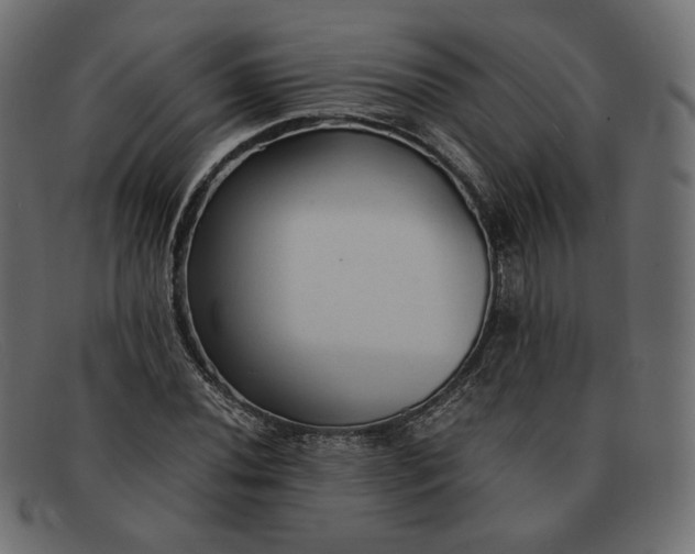 X0000091921020200709191335