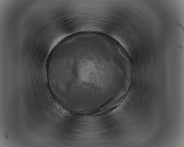 X0000091921022200709191335