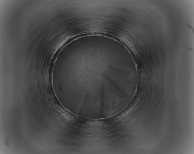 X0000091921023200709191335