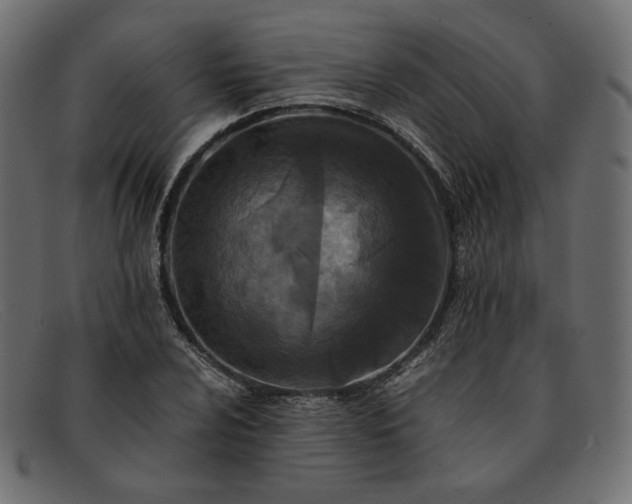 X0000091921024200709191335